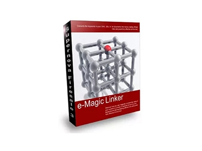 E-Magic Linker
